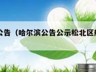 哈尔滨公告（哈尔滨公告公示松北区船厂社区）