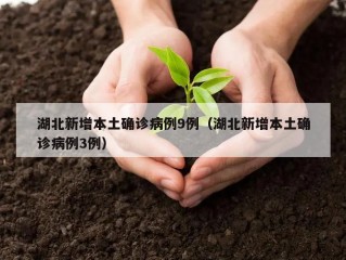 湖北新增本土确诊病例9例（湖北新增本土确诊病例3例）