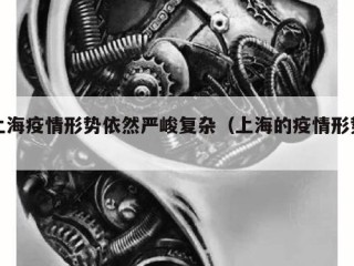 上海疫情形势依然严峻复杂（上海的疫情形势）