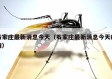 石家庄最新消息今天（石家庄最新消息今天疫情）